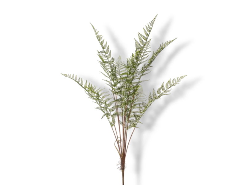 https://cdn.warentuin.nl/media/catalog/product/S/C/SCAN8714344393309_01_hortus_kunstbloem_kunst_forest_fern_bush_125_cm_bb4e.jpg