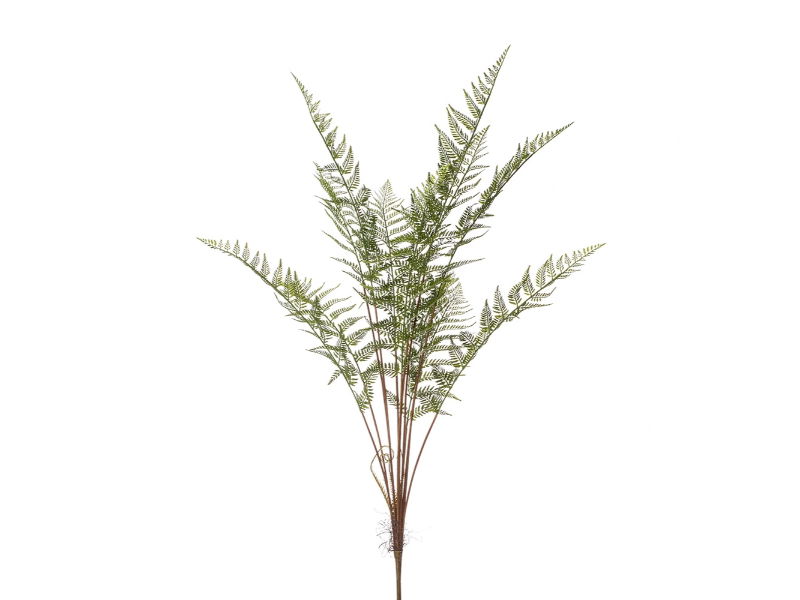 https://cdn.warentuin.nl/media/catalog/product/S/C/SCAN8714344393309_hortus_kunstbloem_kunst_forest_fern_bush_125_cm_c987.jpg