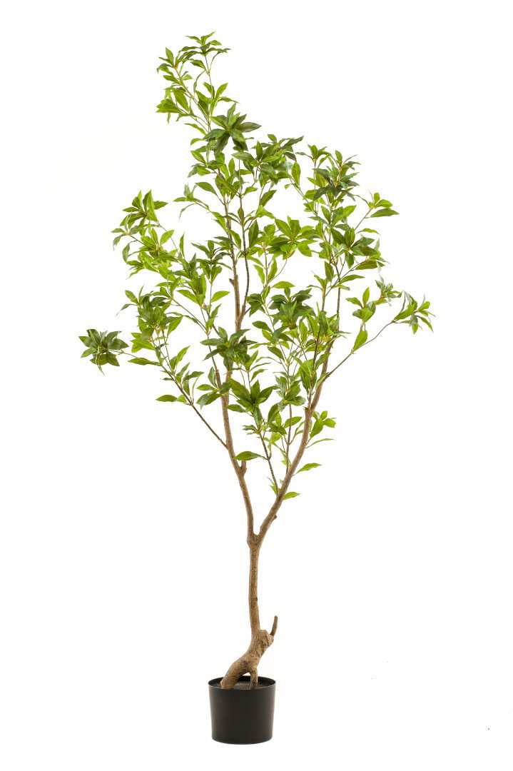Tea leaf tree 185 cm kunstplant Emerald - Emerald