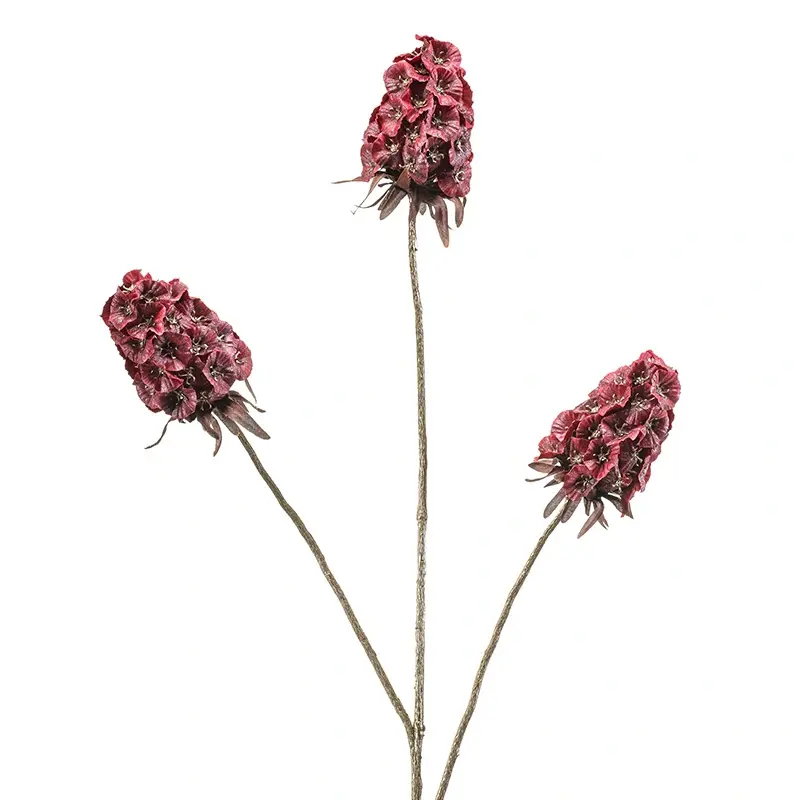 https://cdn.warentuin.nl/media/catalog/product/S/C/SCAN8714344397734_scabiosa_fuchsia_87_cm_kunstbloem_buitenge_4aaa.jpg