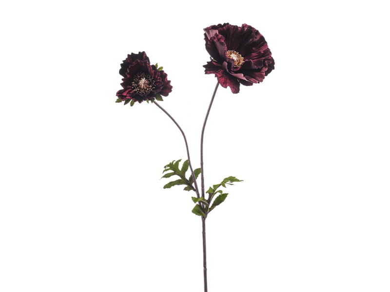Kunstbloem poppy velvet burgundy, 78 cm - Hortus