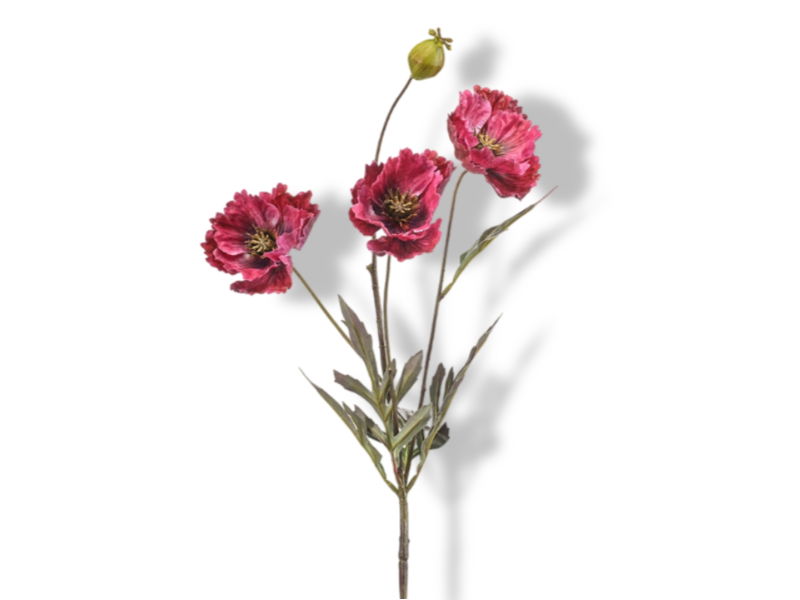 https://cdn.warentuin.nl/media/catalog/product/S/C/SCAN8714344400540_01_hortus_kunstbloem_kunstbloem_poppy_beauty_68_cm_00cc.jpg