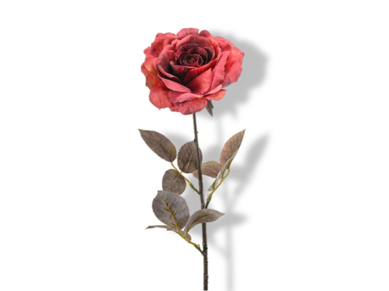 https://cdn.warentuin.nl/media/catalog/product/S/C/SCAN8714344401622_01_hortus_kunstbloem_kunstbloem_rose_zoe_fuchsia_6_edcd.jpg