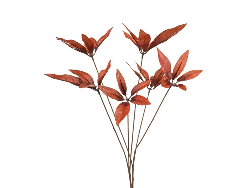 Kunstbloem pachira rust, 82 cm - Hortus