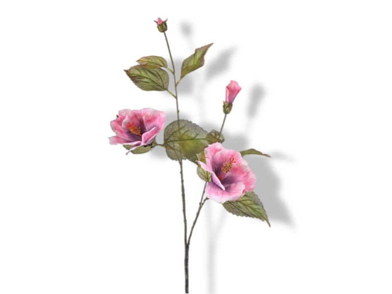 https://cdn.warentuin.nl/media/catalog/product/S/C/SCAN8714344505108_01_hortus_kunstbloem_kunstbloem_hibiscus_pink_100__6de9.jpg
