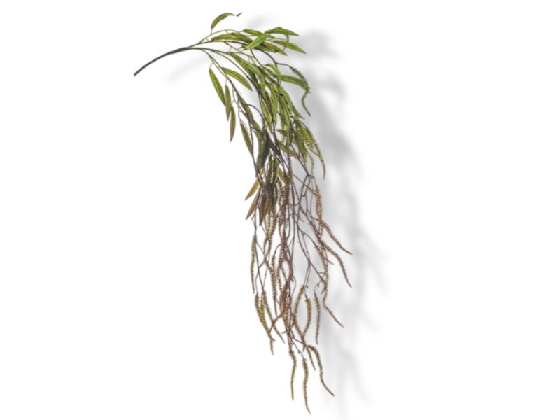 https://cdn.warentuin.nl/media/catalog/product/S/C/SCAN8714344505474_01_hortus_kunstbloem_kunsttak_amaranthus_green_bur_ee8d.jpg