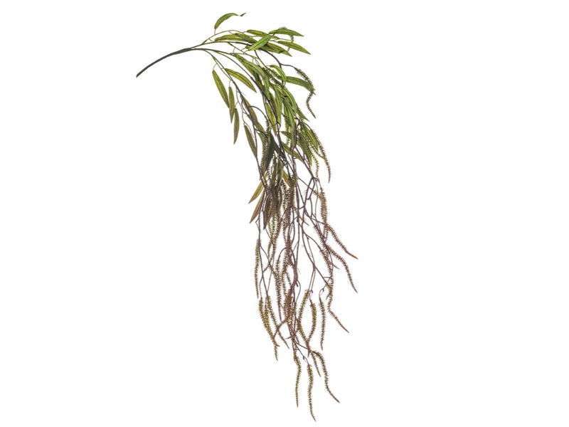 https://cdn.warentuin.nl/media/catalog/product/S/C/SCAN8714344505474_hortus_kunstbloem_kunsttak_amaranthus_green_bur_ba38.jpg