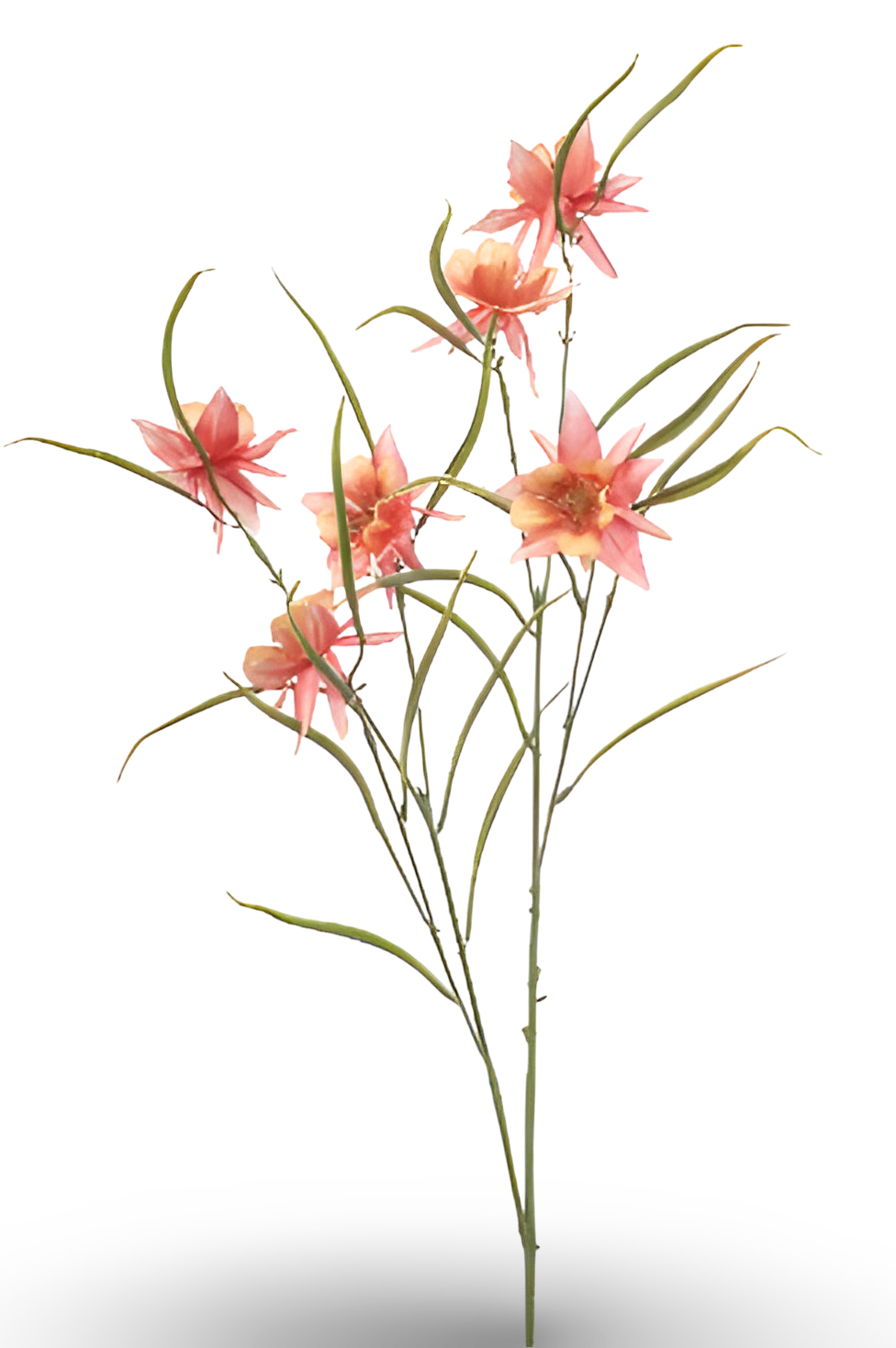 https://cdn.warentuin.nl/media/catalog/product/S/C/SCAN8714344510294_01_aquilegia_spray_peach_84_cm_silk_ka_aeed.png