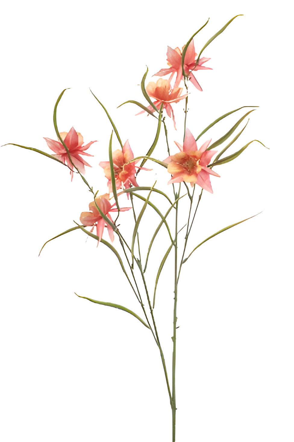 https://cdn.warentuin.nl/media/catalog/product/S/C/SCAN8714344510294_aquilegia_spray_peach_84_cm_silk_ka_ae34.jpg