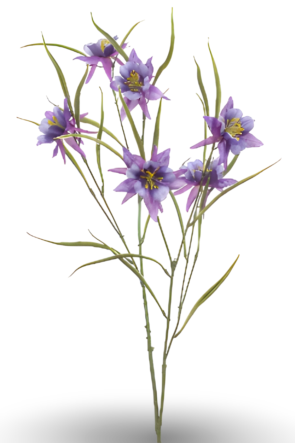https://cdn.warentuin.nl/media/catalog/product/S/C/SCAN8714344510300_01_aquilegia_spray_purple_84_cm_silk_ka_107a.png