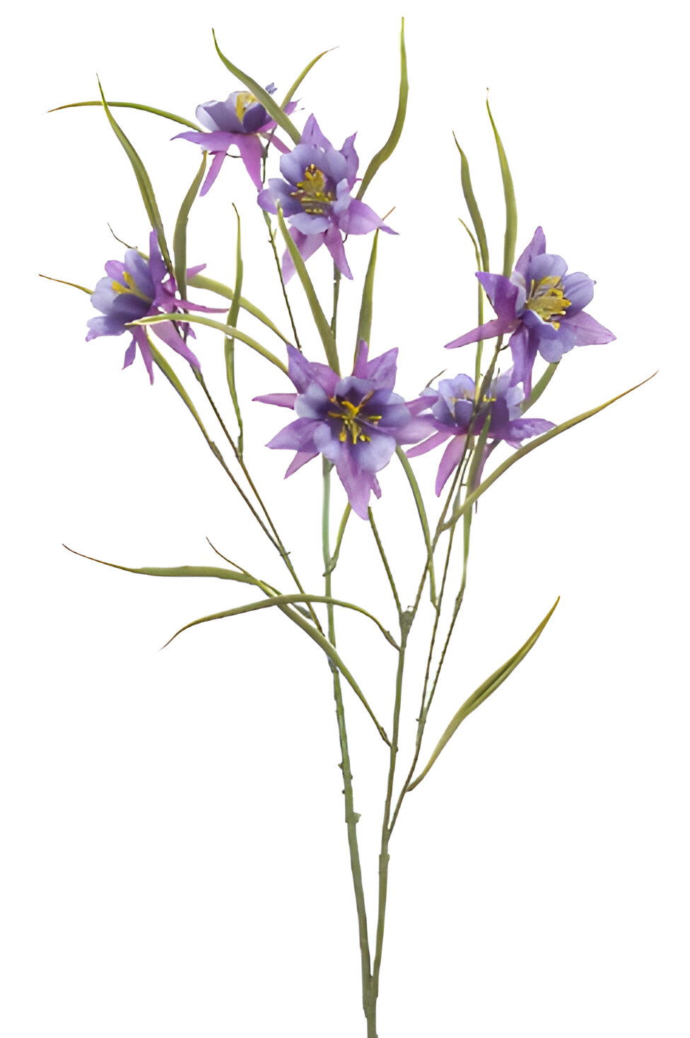 https://cdn.warentuin.nl/media/catalog/product/S/C/SCAN8714344510300_aquilegia_spray_purple_84_cm_silk_ka_b20f.jpg