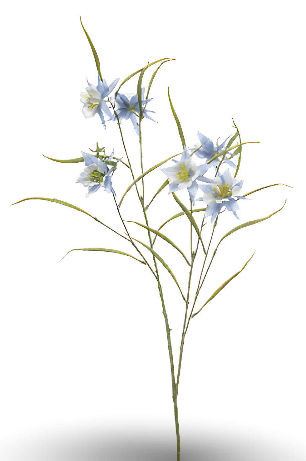 https://cdn.warentuin.nl/media/catalog/product/S/C/SCAN8714344510317_01_aquilegia_spray_lt_blue_84_cm_silk_ka_516a.png