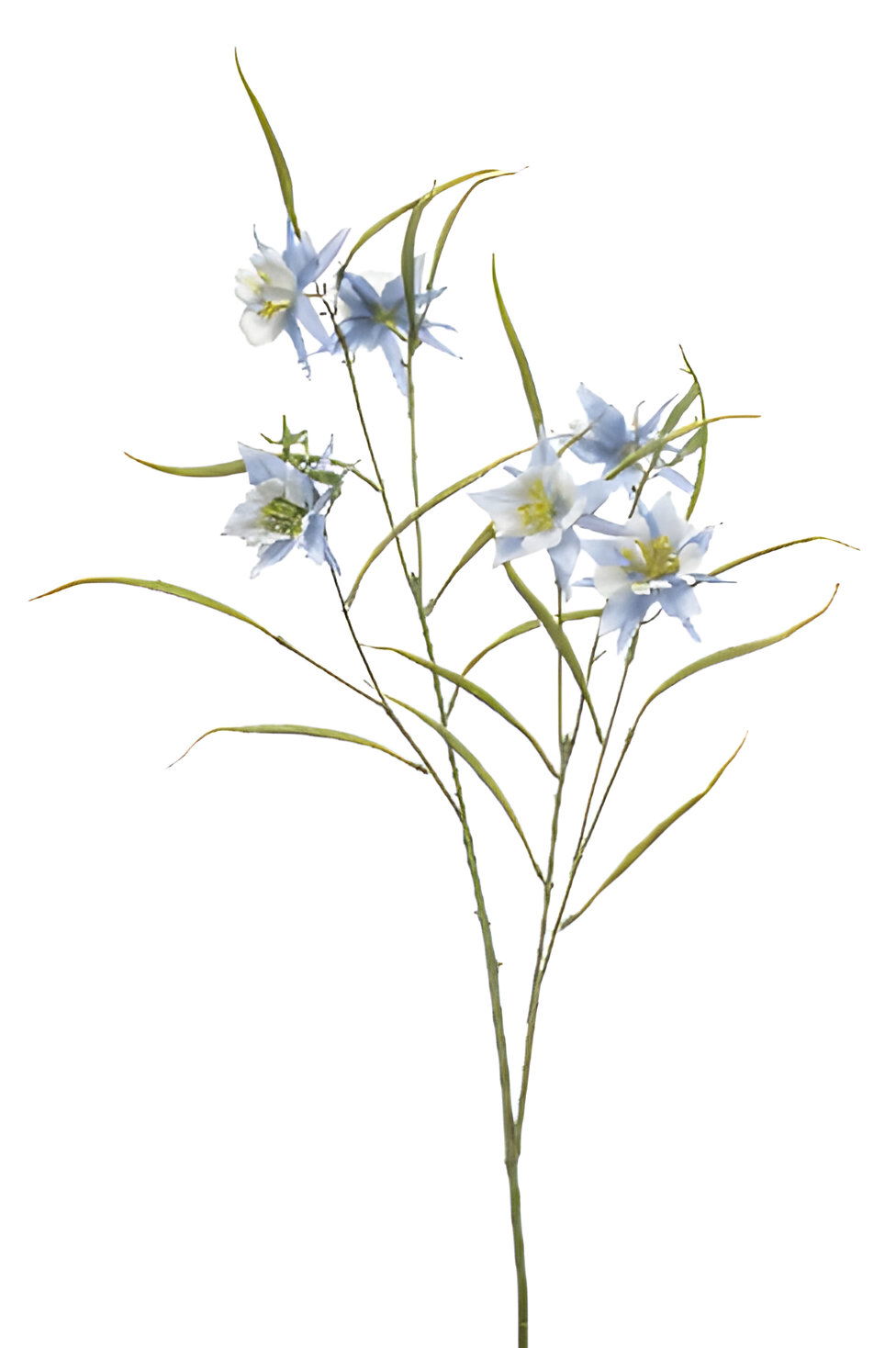 https://cdn.warentuin.nl/media/catalog/product/S/C/SCAN8714344510317_aquilegia_spray_lt_blue_84_cm_silk_ka_adb0.jpg