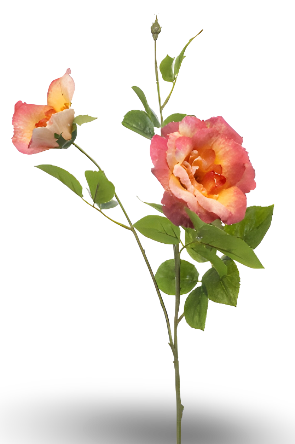 https://cdn.warentuin.nl/media/catalog/product/S/C/SCAN8714344511802_01_rose_liza_spray_x3_peach_80_cm_silk_ka_7742.png
