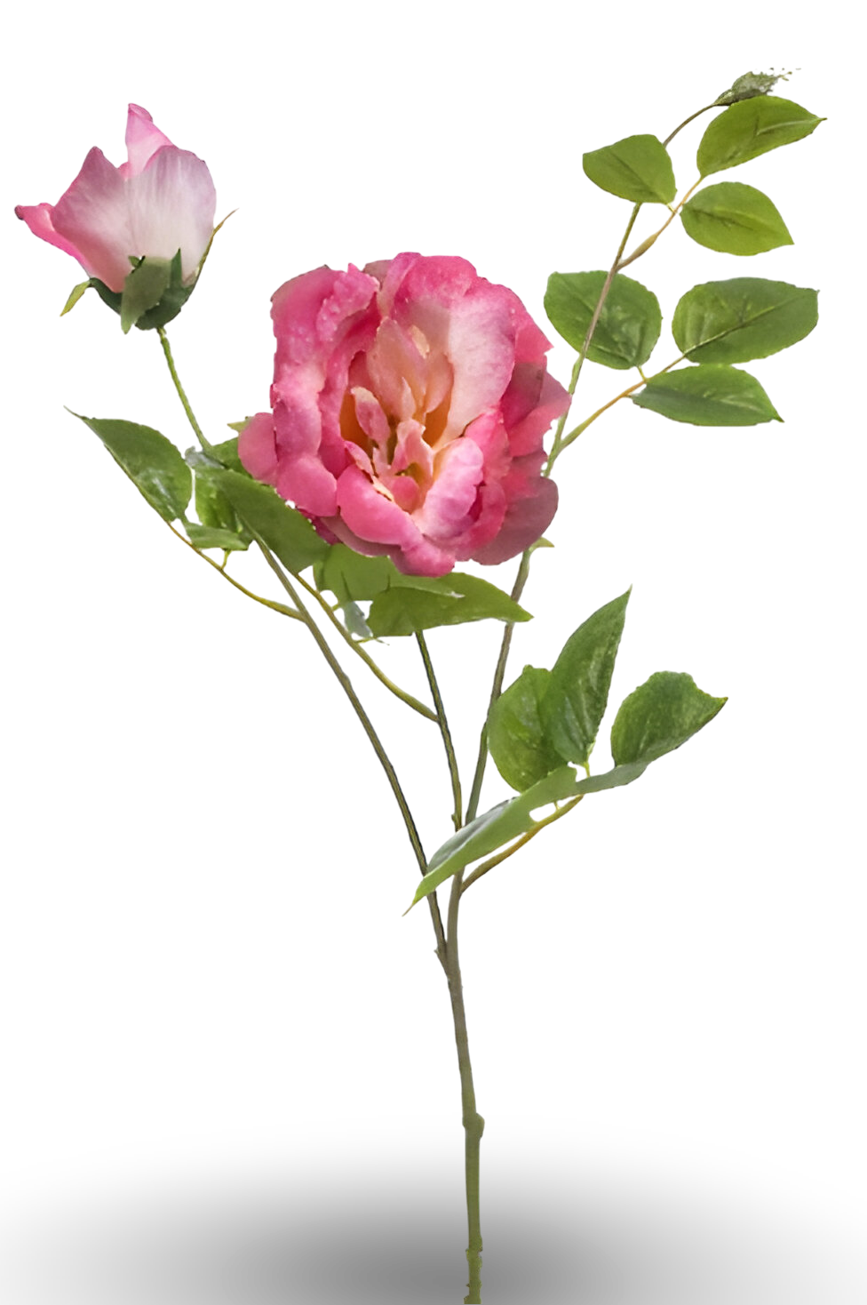https://cdn.warentuin.nl/media/catalog/product/S/C/SCAN8714344511819_01_rose_liza_spray_x3_pink_80_cm_silk_ka_d511.png