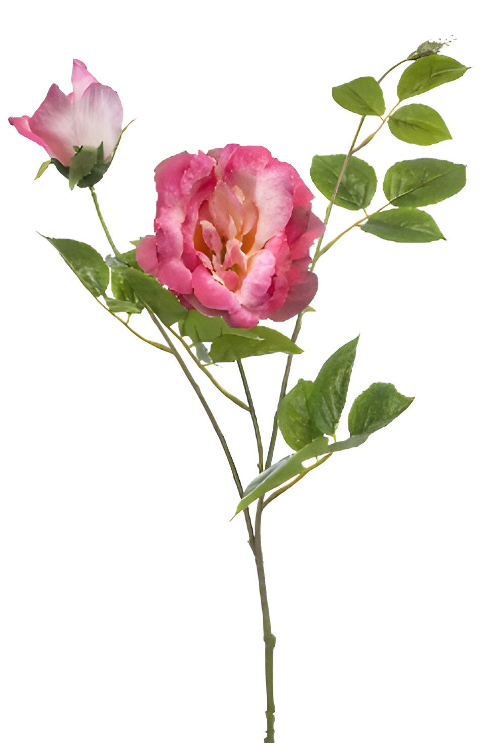 https://cdn.warentuin.nl/media/catalog/product/S/C/SCAN8714344511819_rose_liza_spray_x3_pink_80_cm_silk_ka_94fb.jpg