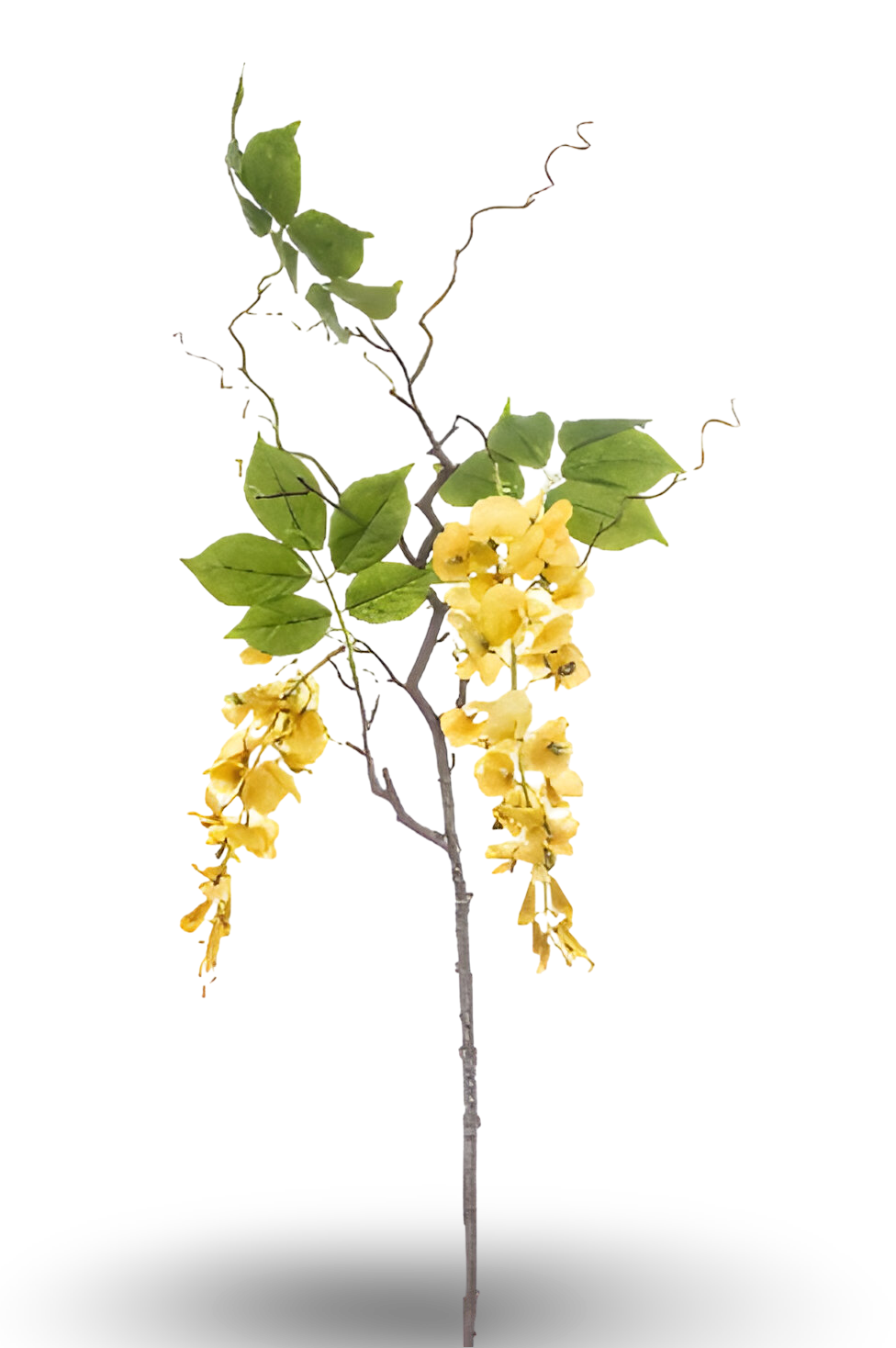 https://cdn.warentuin.nl/media/catalog/product/S/C/SCAN8714344512236_01_wisteria_branch_yellow_145_cm_silk_ka_72ca.png