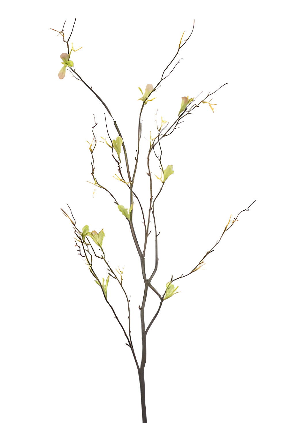 Emerald Twig spray 90 cm  - 