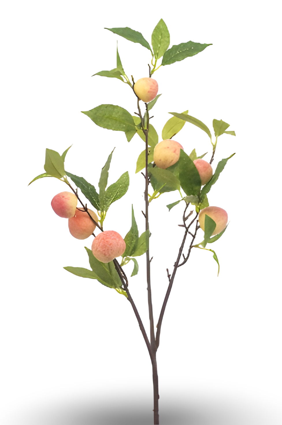 https://cdn.warentuin.nl/media/catalog/product/S/C/SCAN8714344514520_01_peach_spray_85_cm_silk_ka_e9d4.png