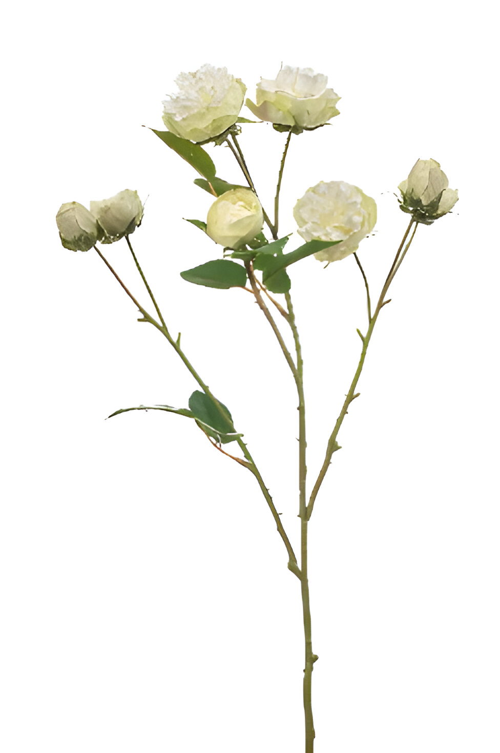 https://cdn.warentuin.nl/media/catalog/product/S/C/SCAN8714344514605_rose_mini_spray_white_green_65_cm_silk_ka_736f.jpg