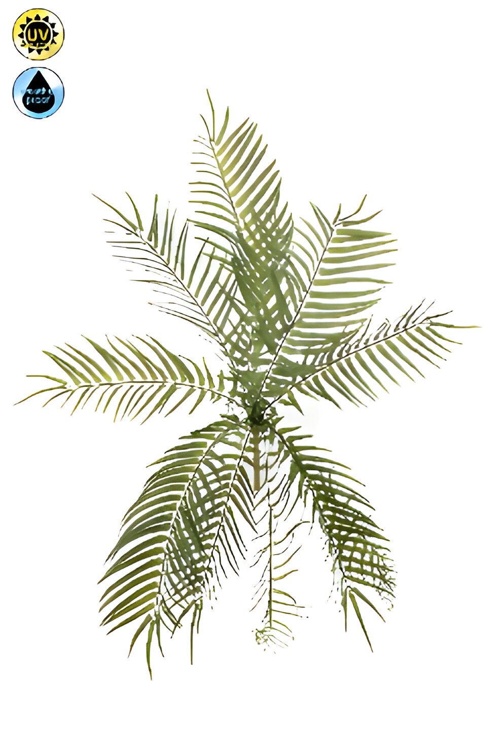 Emerald Fish bone fern bush UV 70 cm  - 