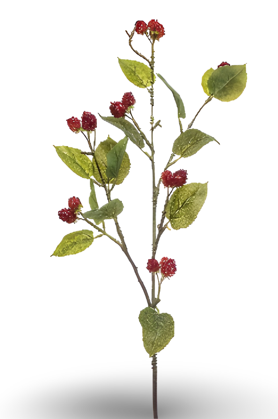 https://cdn.warentuin.nl/media/catalog/product/S/C/SCAN8714344515169_01_raspberry_spray_red_90_cm_silk_ka_874d.png