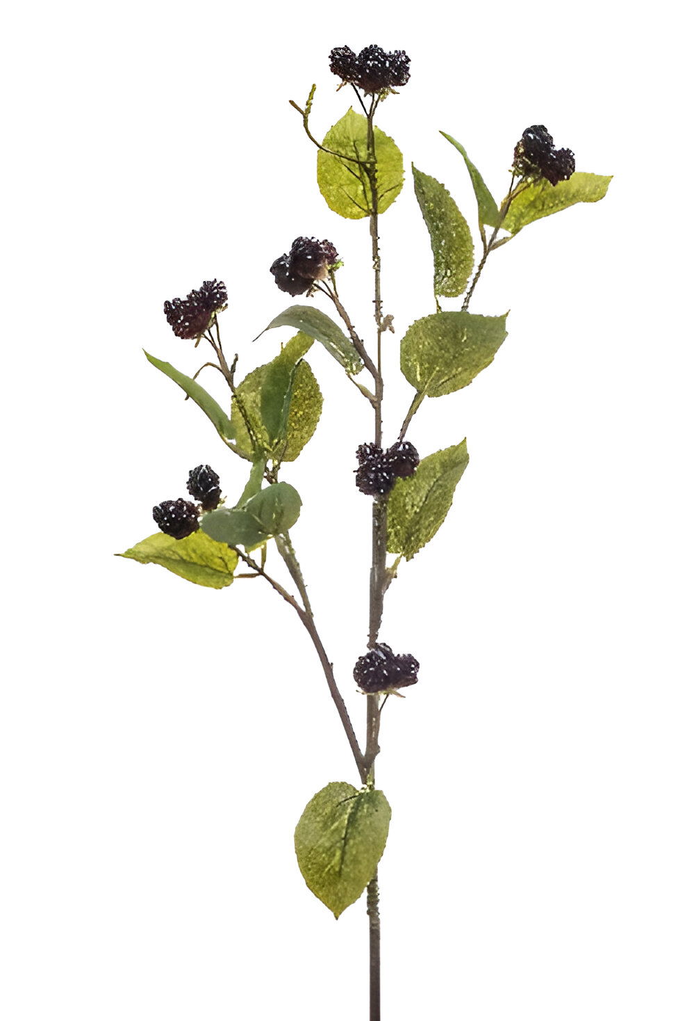 https://cdn.warentuin.nl/media/catalog/product/S/C/SCAN8714344515176_blackberry_spray_burgundy_90_cm_silk_ka_333b.jpg