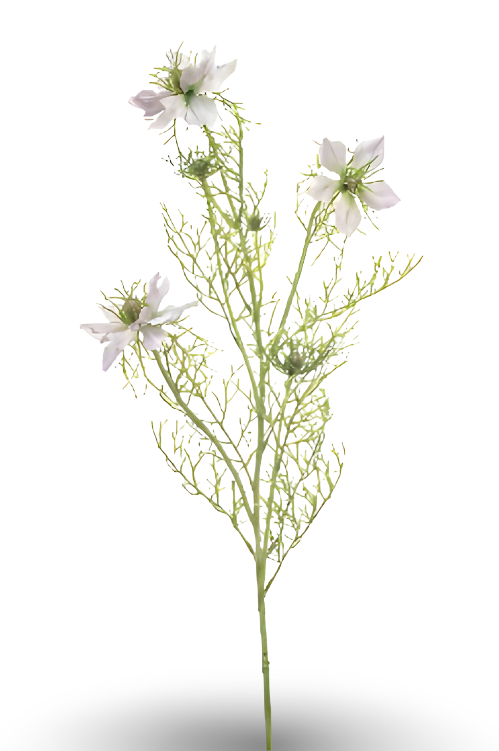 https://cdn.warentuin.nl/media/catalog/product/S/C/SCAN8714344515367_01_nigella_spray_lt_purple_68_cm_silk_ka_ec6c.png