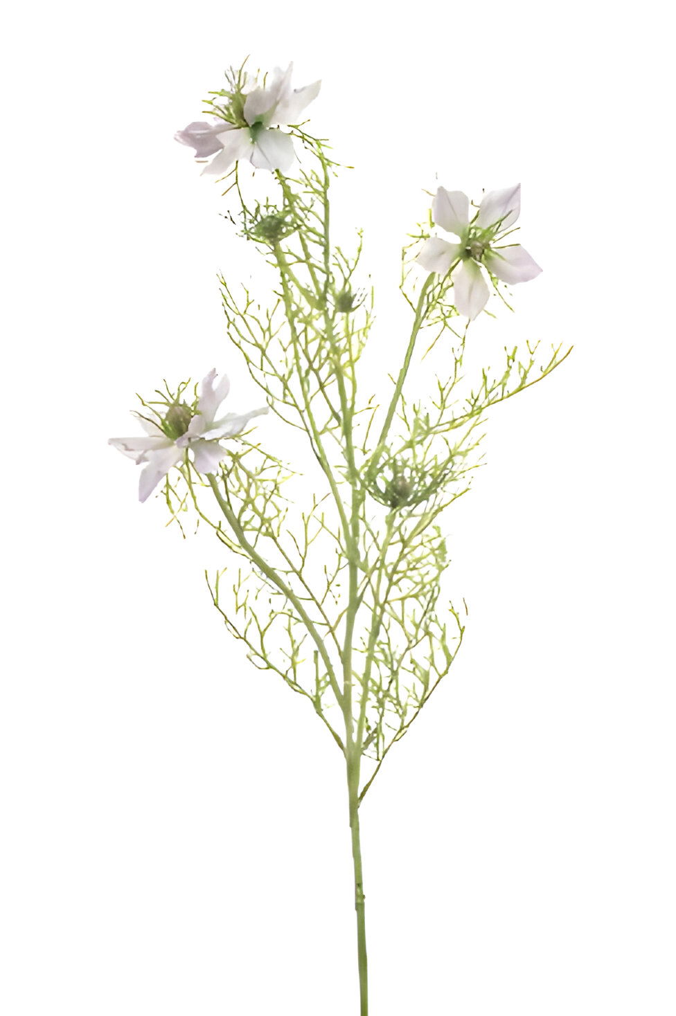https://cdn.warentuin.nl/media/catalog/product/S/C/SCAN8714344515367_nigella_spray_lt_purple_68_cm_silk_ka_b0e4.jpg