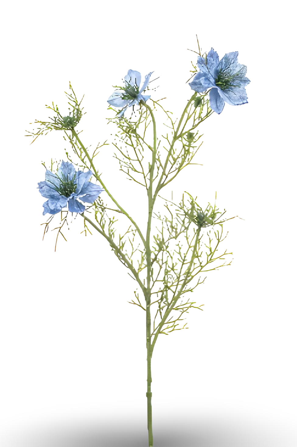 https://cdn.warentuin.nl/media/catalog/product/S/C/SCAN8714344515381_01_nigella_spray_blue_68_cm_silk_ka_43b6.png