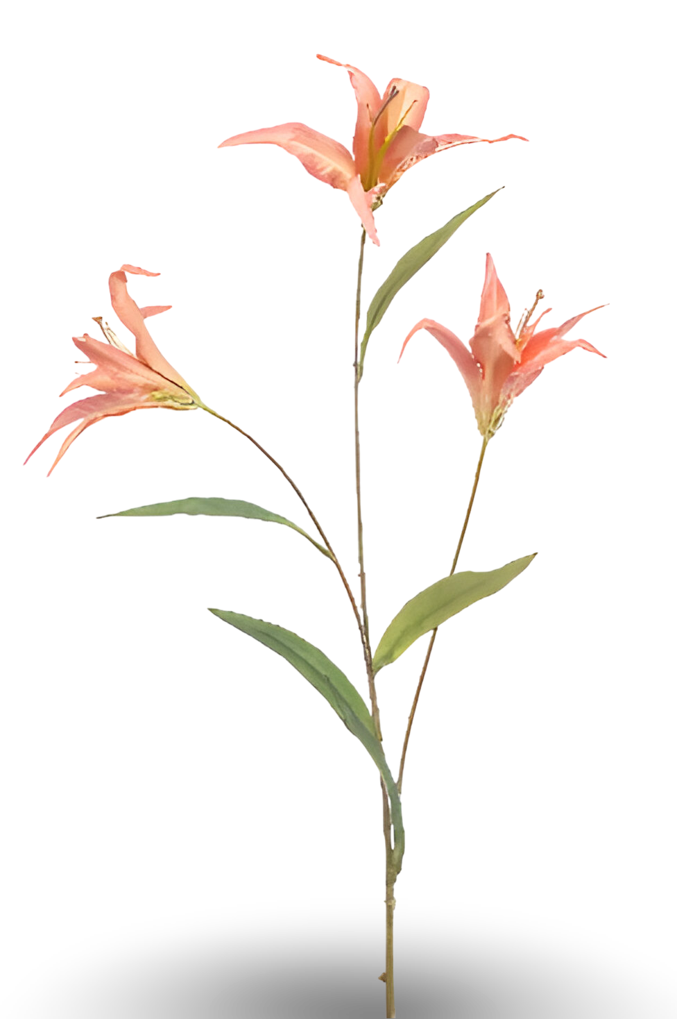 https://cdn.warentuin.nl/media/catalog/product/S/C/SCAN8714344516005_01_lily_wild_spray_x3_coral_100_cm_silk_ka_b7ac.png