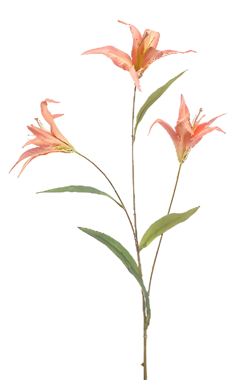 https://cdn.warentuin.nl/media/catalog/product/S/C/SCAN8714344516005_lily_wild_spray_x3_coral_100_cm_silk_ka_6b41.jpg