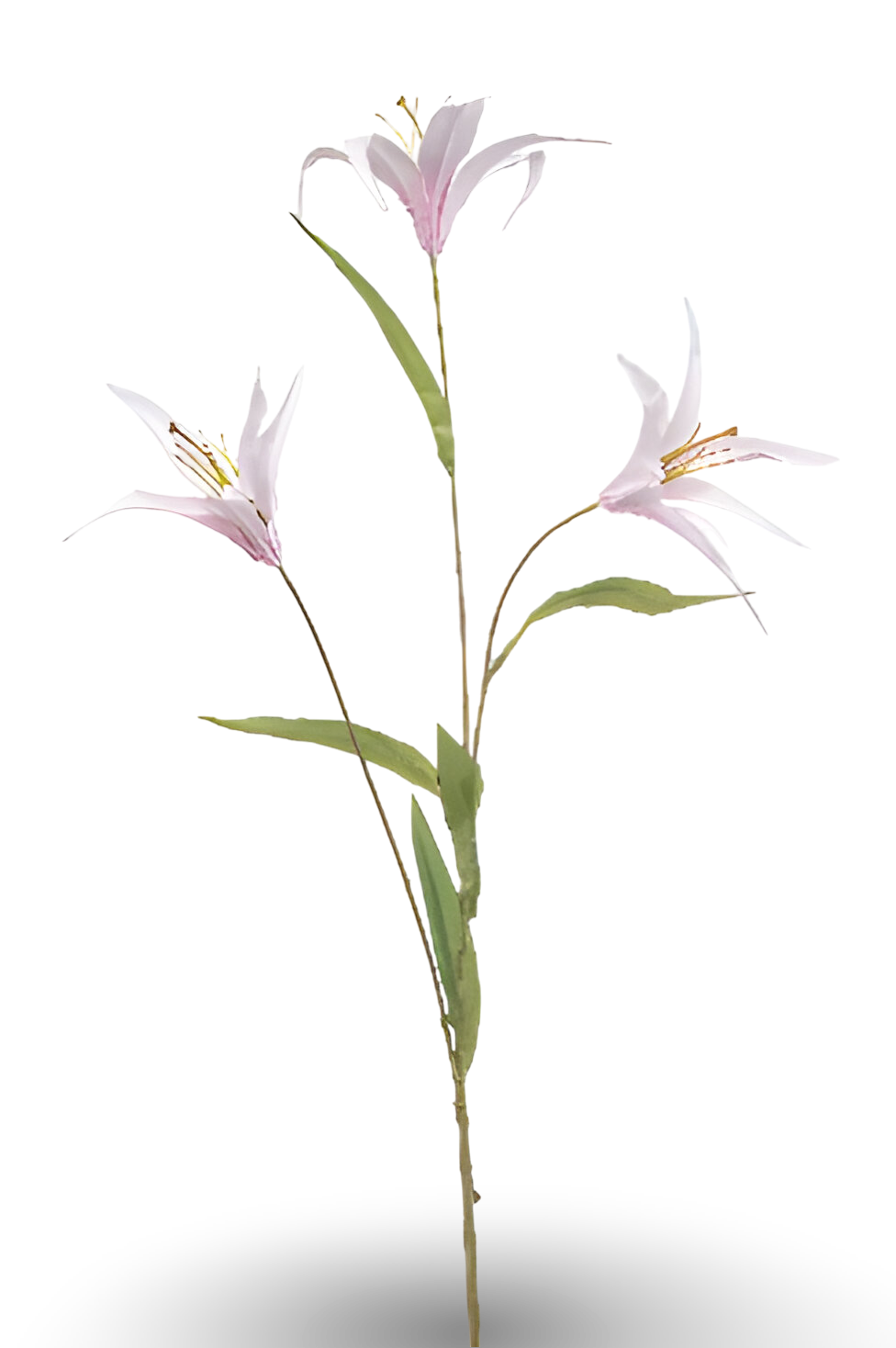 https://cdn.warentuin.nl/media/catalog/product/S/C/SCAN8714344516012_01_lily_wild_spray_x3_lt_pink_100_cm_silk_ka_1566.png