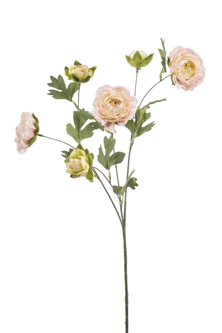 https://cdn.warentuin.nl/media/catalog/product/S/C/SCAN8714344529784_ranunculus_spray_lt_pink_78_cm_kunstplant__3a31.jpg