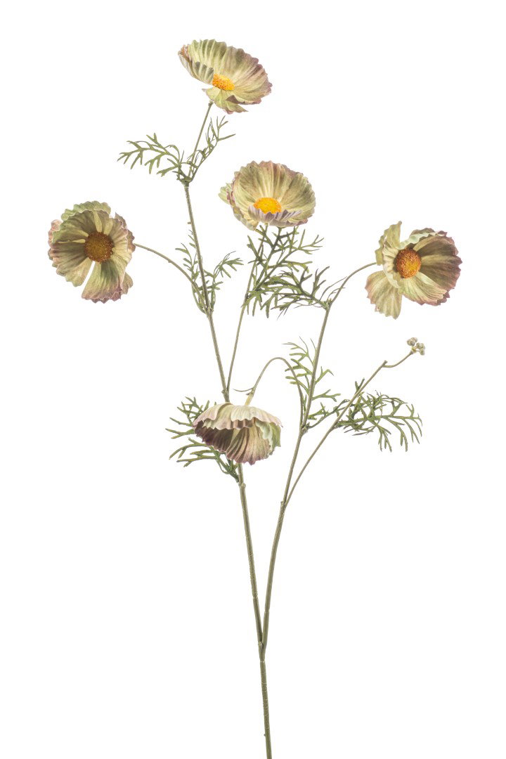 https://cdn.warentuin.nl/media/catalog/product/S/C/SCAN8714344530025_cosmos_spray_green_70_cm_kunstplant_emeral_f33a.jpg