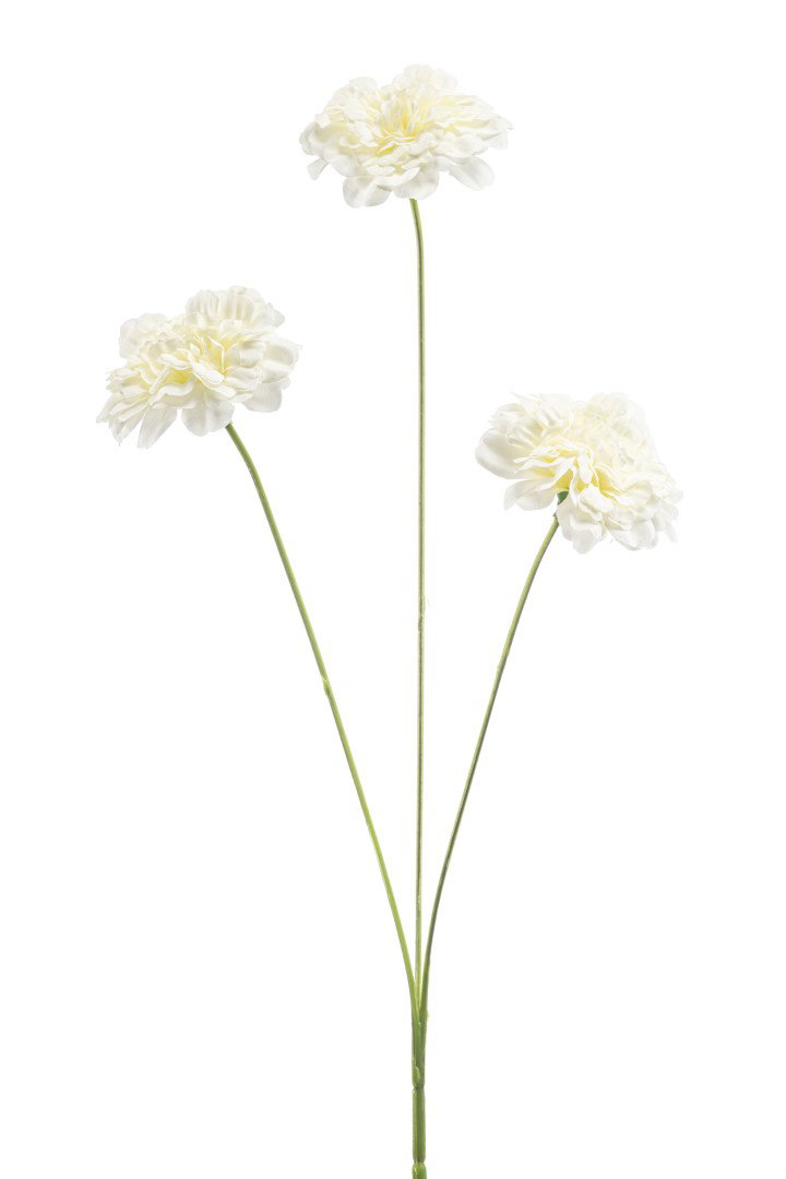 https://cdn.warentuin.nl/media/catalog/product/S/C/SCAN8714344536416_dianthus_spray_cream_50_cm_kunstplant_emer_d70d.jpg