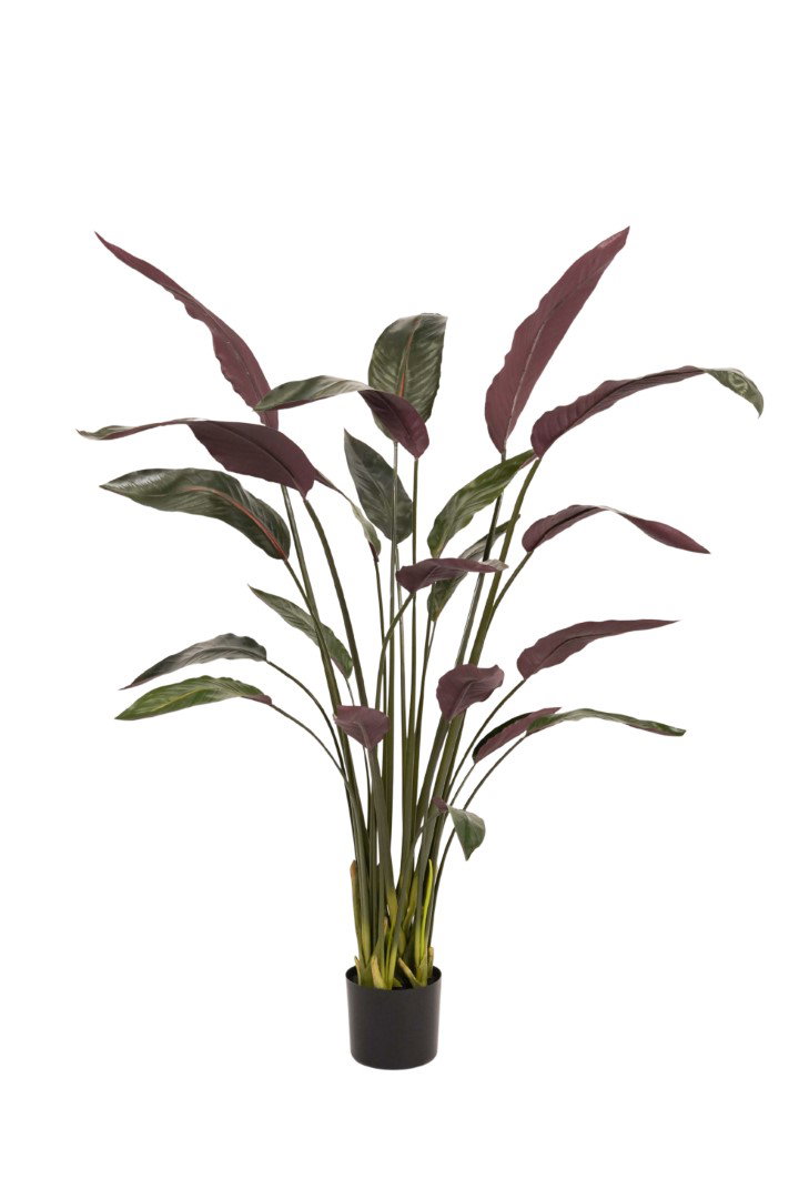 Heliconia plant green/burgundy 150 cm kunstplant Emerald - Emerald