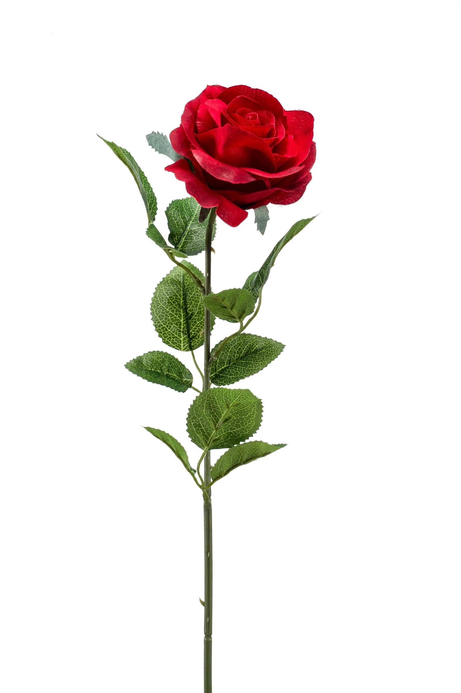 Zinniasteel l25 cm rood Emerald - Emerald