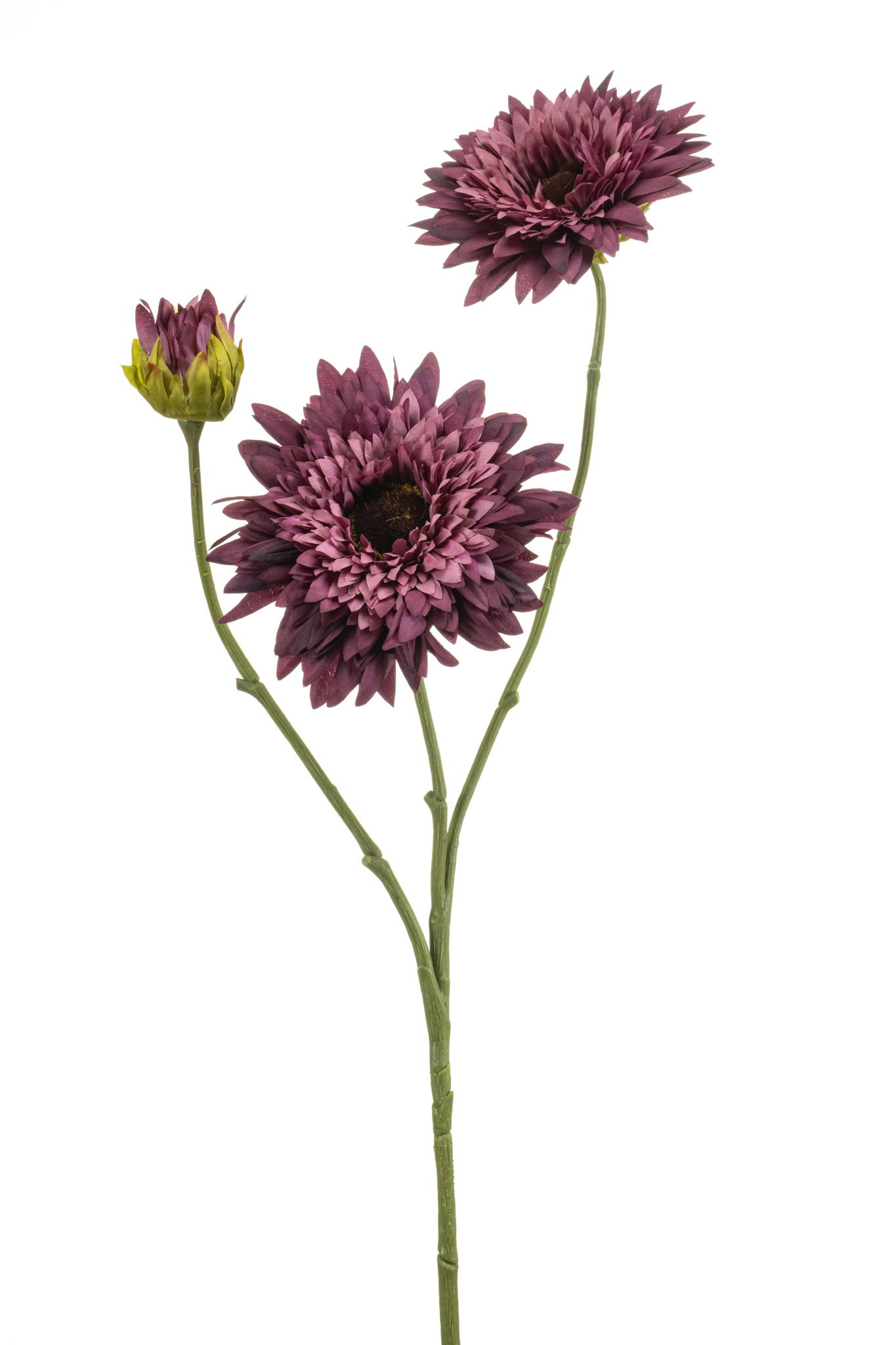 Zonnebloemsteel l15 cm paars Emerald - Emerald