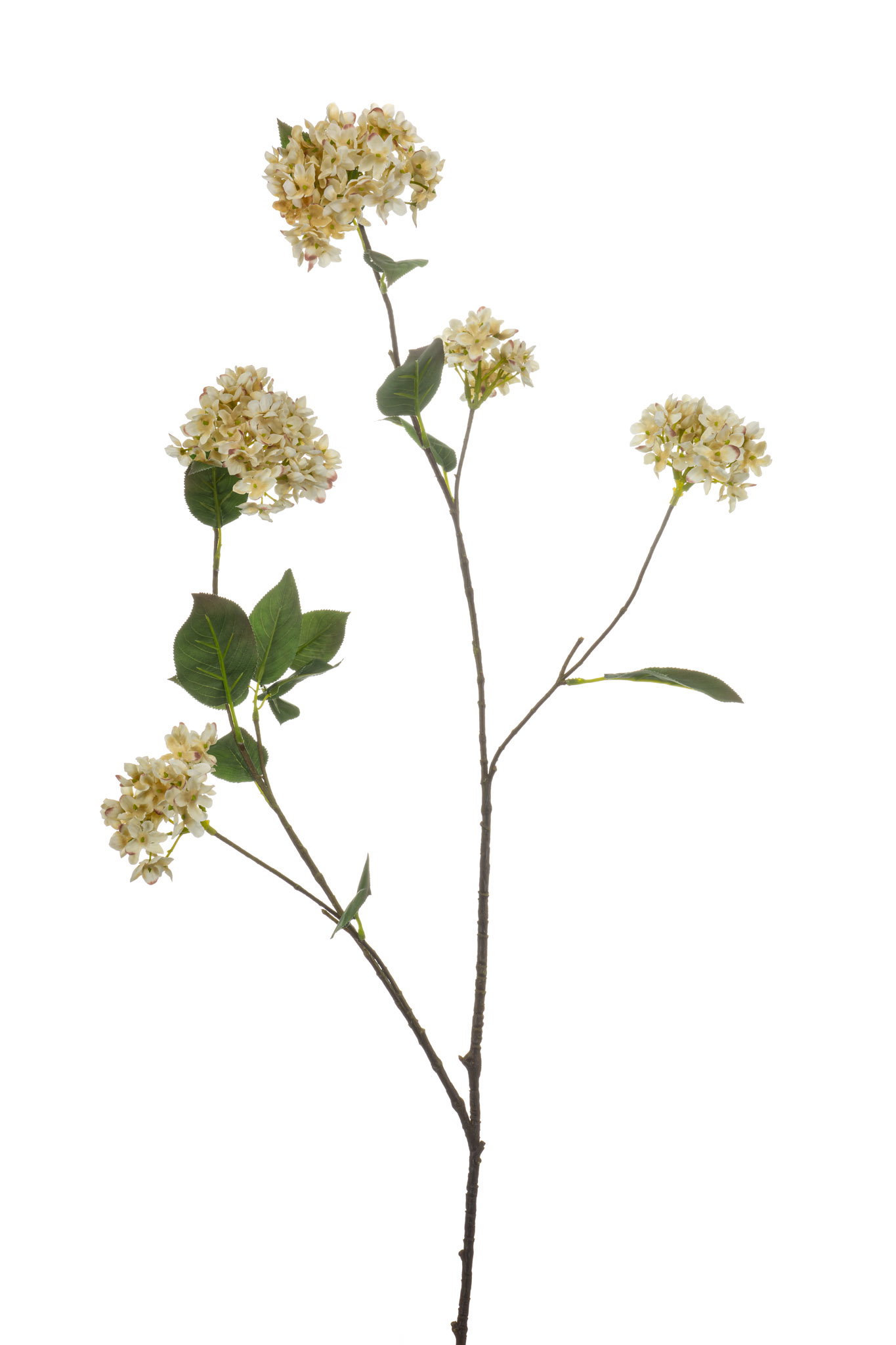 Viburnum spray cream 113 cm Emerald - Emerald
