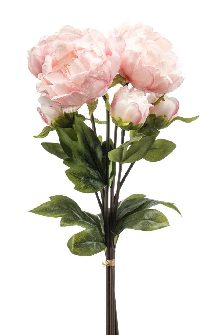 Pioenroos bundel l20 cm oud roze Emerald - Emerald