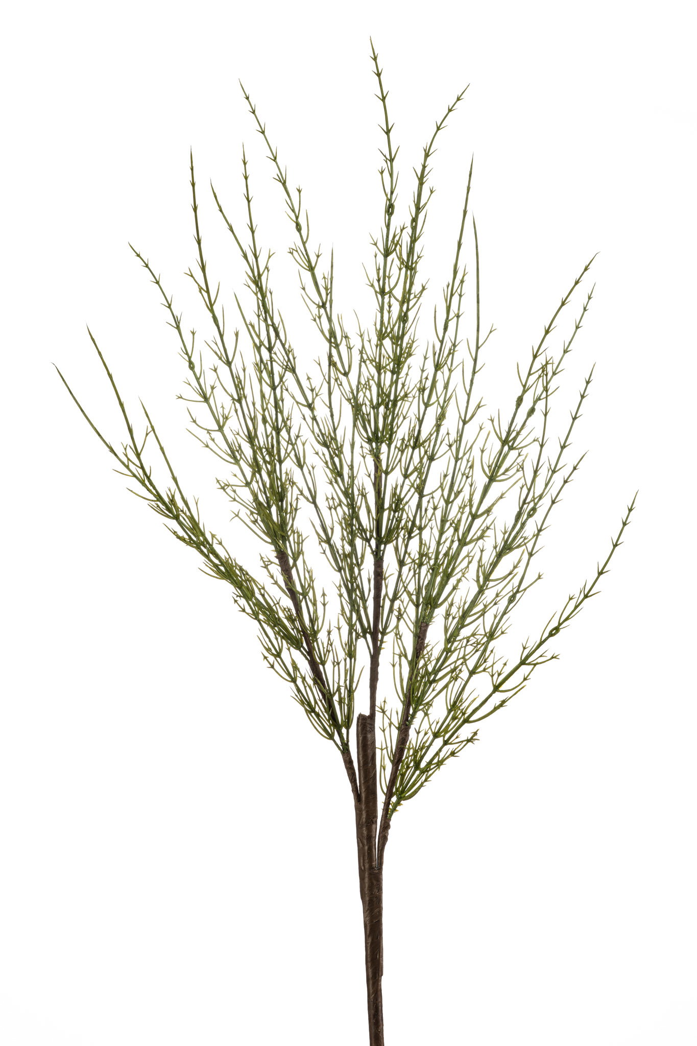 Rietsteel l15 cm groen Emerald - Emerald