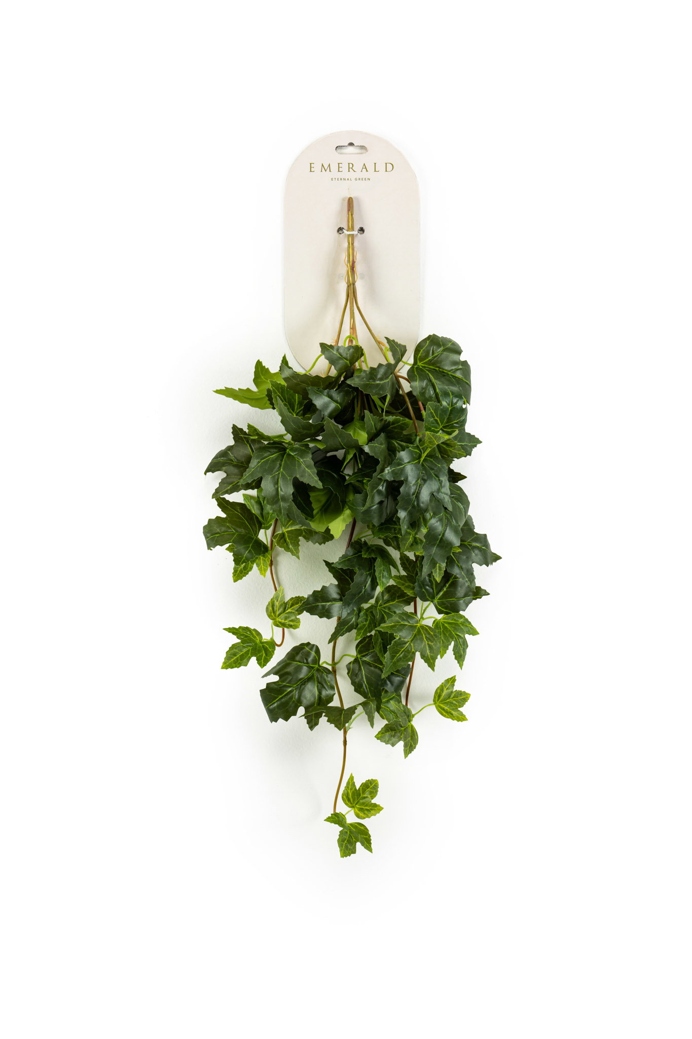 Cissus hanging bush 65 cm Emerald - Emerald