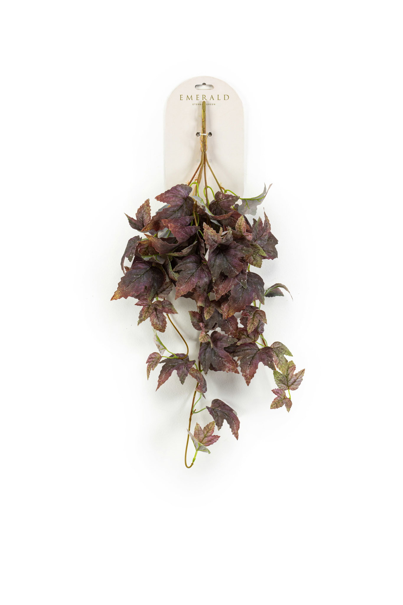 Grape hanging bush paars 65 cm Emerald - Emerald