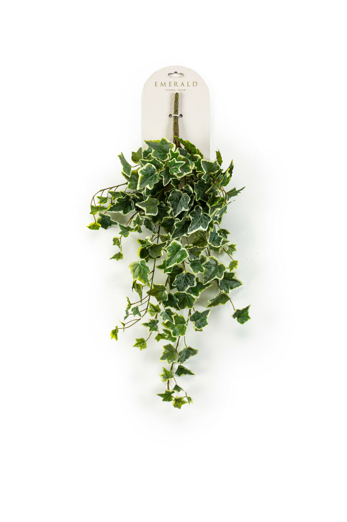 Klimop hanging bush groen/wit 60 cm Emerald - Emerald