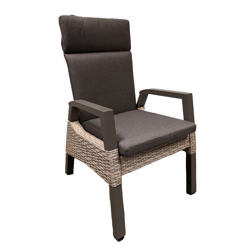 https://cdn.warentuin.nl/media/catalog/product/S/C/SCAN8714365434401_treviso_diningstoel_mountain_buitengewoon_boet_647c.png