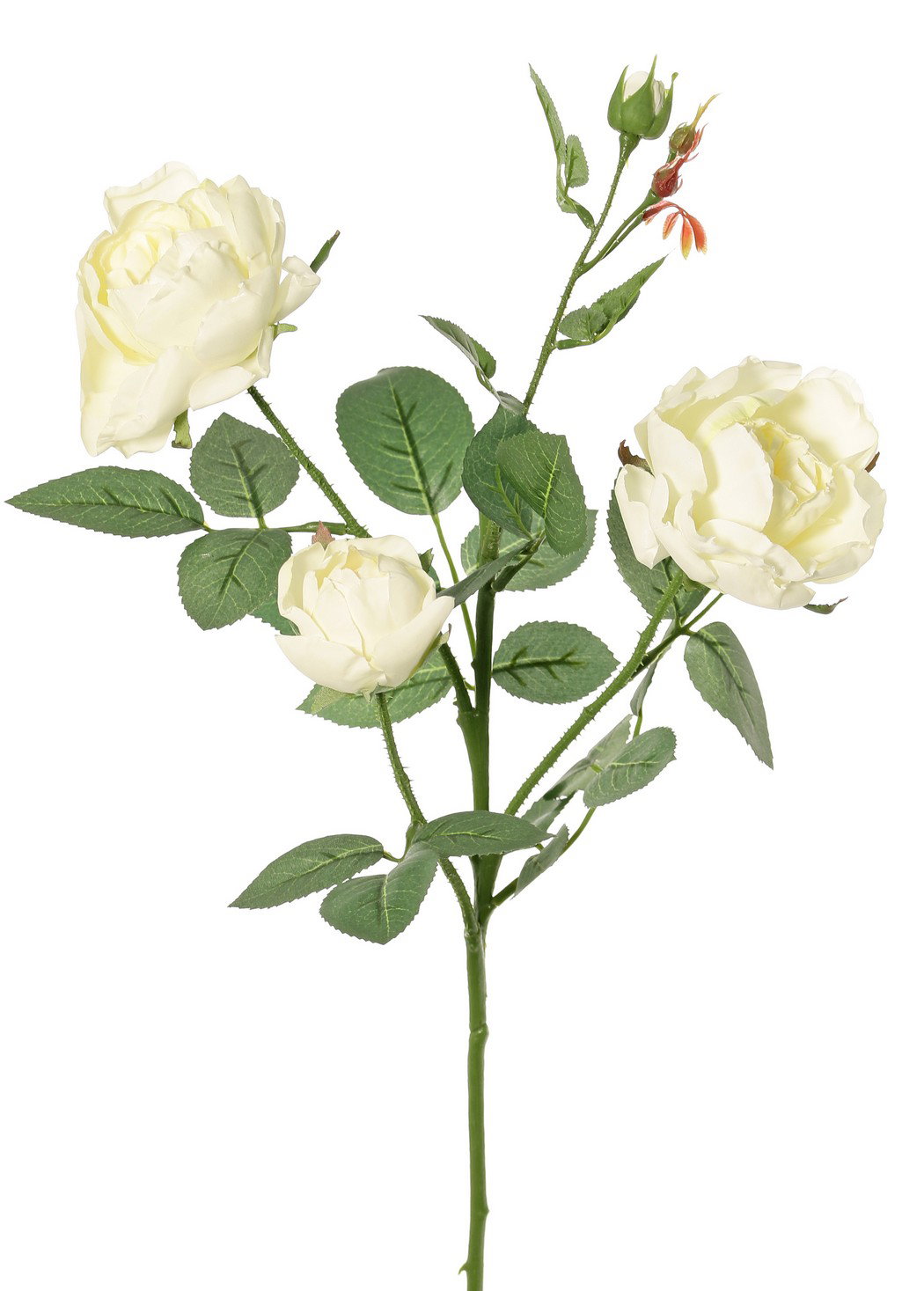 https://cdn.warentuin.nl/media/catalog/product/S/C/SCAN8714617006158_roos_rosa_ariana_met_4_vertakkingen_met_3_bloemen_1_bloemknop_83ad.jpg