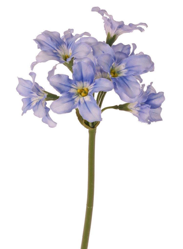 https://cdn.warentuin.nl/media/catalog/product/S/C/SCAN8714617016577_lycoris_spinlelie_met_9_polyester_bloemen_48_cm_recycled_top__ea95.jpg