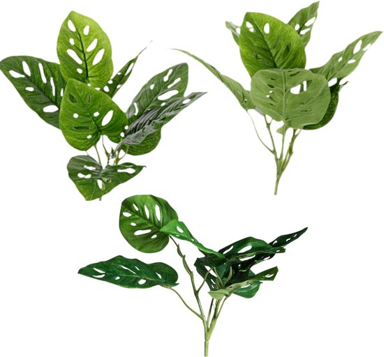 https://cdn.warentuin.nl/media/catalog/product/S/C/SCAN8714617037602_driesprong_collection_zijde_planten_monestera_g_a4c9.jpg
