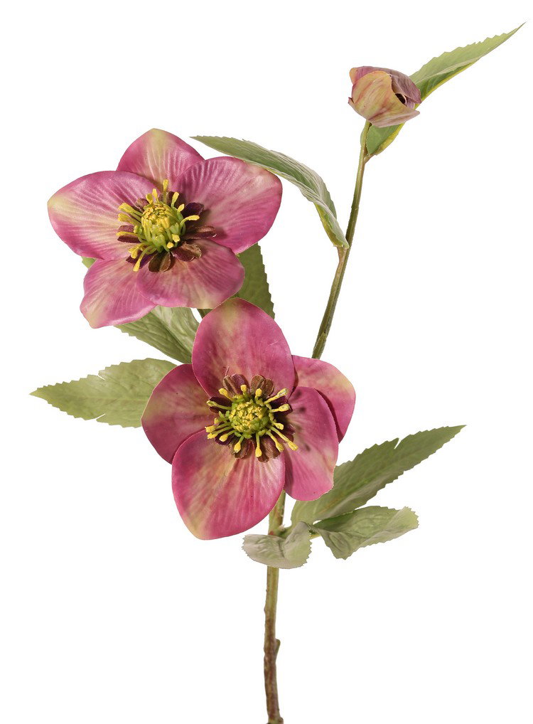 Helleborus Kerstroos met 2 bloemen 8 cm & 10 cm & 1 knop 8 bladeren 55 cm real touch kunstbloem I Top Art - Top art